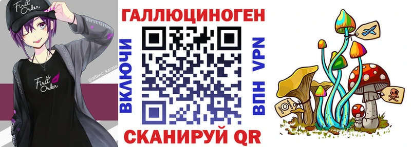 Галлюциногенные грибы Cubensis Мурино