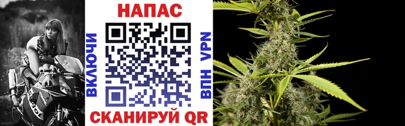 Купить где  Мурино  МАРИХУАНА тримм 